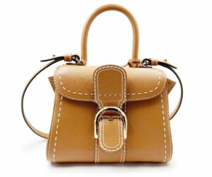 Delvaux Brillant Mini Surpique Brn Crossbody 1